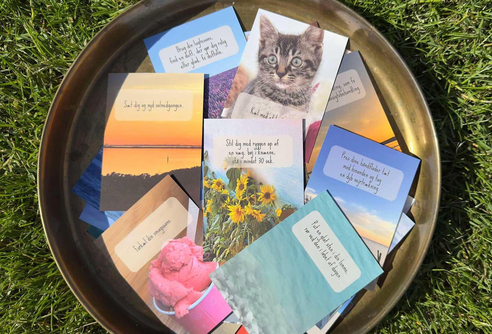 sansekort - sanseprofil