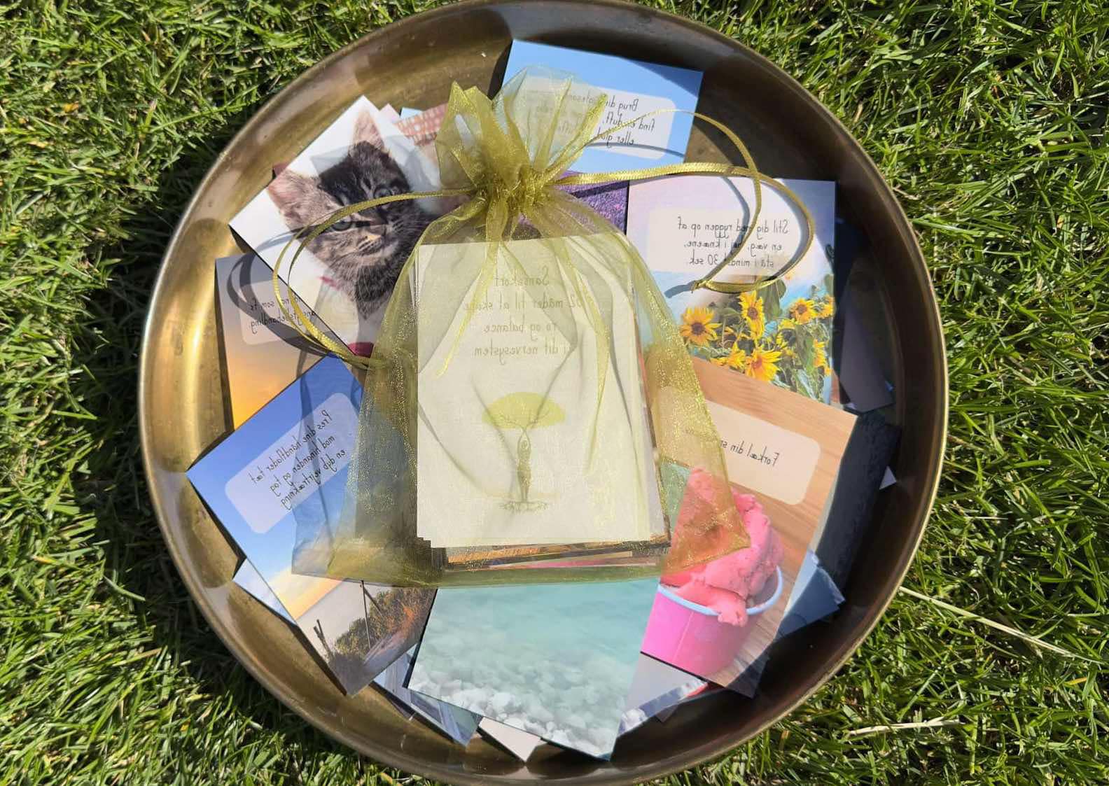 sansekort - sanseprofil